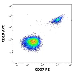 Anti-CD37 antibody [MB-1] used in Flow cytometry (FCM). GTX04698