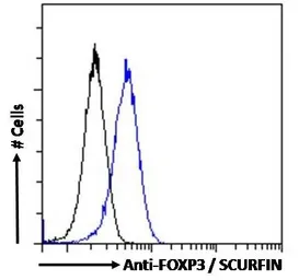 Anti-FOXP3 antibody used in Flow cytometry (FCM). GTX04725