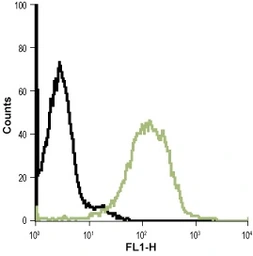 Anti-Bestrophin 1 antibody used in Flow cytometry (FCM). GTX04928