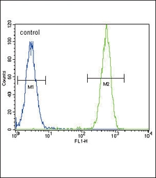 Anti-TERT antibody used in Flow cytometry (FCM). GTX05257