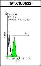 Anti-Oct4 antibody used in Flow cytometry (FCM). GTX100622