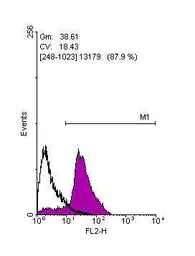 Anti-Oct4 antibody used in Flow cytometry (FCM). GTX101497
