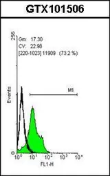 Anti-SOX2 antibody used in Flow cytometry (FCM). GTX101506