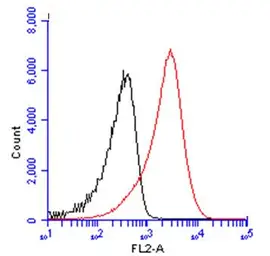 Anti-CD19 antibody [C1C3] used in Flow cytometry (FCM). GTX101512