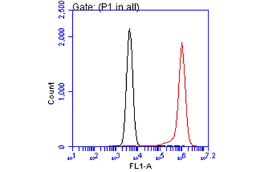Anti-Annexin V antibody used in Flow cytometry (FCM). GTX103250