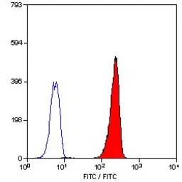 Anti-Leukotriene B4 Receptor antibody [202/7B1] (FITC) used in Flow cytometry (FCM). GTX11207