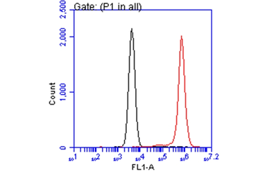 Anti-Annexin V antibody [N2C3] used in Flow cytometry (FCM). GTX113384