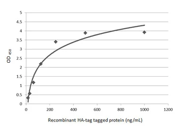 Anti-HA tag antibody (HRP) used in ELISA (ELISA). GTX115044-01