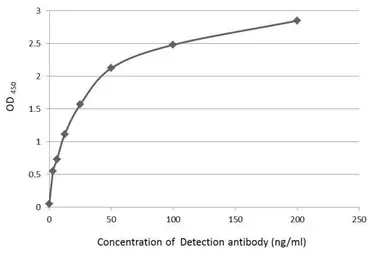 Anti-HA tag antibody used in ELISA (ELISA). GTX115044