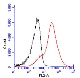 Anti-CD45 antibody used in Flow cytometry (FCM). GTX116018
