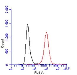 Anti-CD45 antibody used in Flow cytometry (FCM). GTX116018