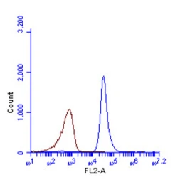 Anti-LC3B antibody [N1C3] used in Flow cytometry (FCM). GTX116080