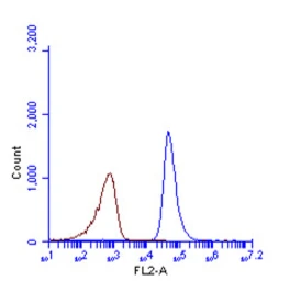 Anti-SQSTM1 / P62 (phospho Ser403) antibody used in Flow cytometry (FCM). GTX128171