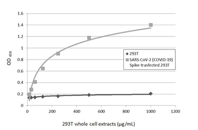 Anti-SARS-CoV-2 (COVID-19) Spike antibody used in ELISA (ELISA). GTX135356