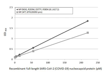 SARS-CoV-2 (COVID-19) Nucleocapsid protein, His tag. GTX135592-pro