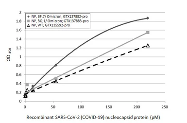 SARS-CoV-2 (COVID-19) Nucleocapsid protein, His tag. GTX135592-pro