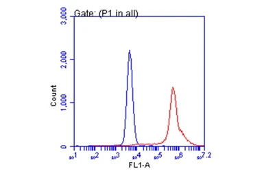 Anti-SARS-CoV-2 (COVID-19) Spike RBD antibody used in Flow cytometry (FCM). GTX135709