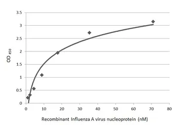 Influenza A virus Nucleoprotein (A/WSN/1933 (H1N1)), DDDDK Tag. GTX135868-pro