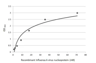 Influenza A virus Nucleoprotein (A/WSN/1933 (H1N1)), DDDDK Tag. GTX135868-pro