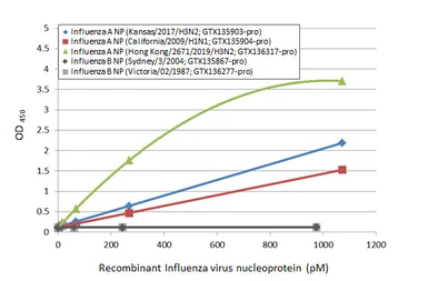 Influenza A virus Nucleoprotein (A/California/2009 (H1N1)), DDDDK Tag. GTX135904-pro