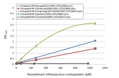 Influenza A virus Nucleoprotein (A/California/2009 (H1N1)), DDDDK Tag. GTX135904-pro