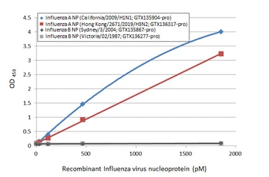 Influenza A virus Nucleoprotein (A/California/2009 (H1N1)), DDDDK Tag. GTX135904-pro