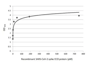 SARS-CoV-2 (COVID-19) Spike (ECD) protein, His tag (active). GTX135972-pro