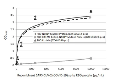 SARS-CoV-2 (COVID-19) Spike RBD Protein, B.1.351 / Beta variant, His tag (active). GTX136022-pro