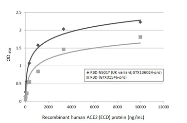 SARS-CoV-2 (COVID-19) Spike RBD Protein, B.1.1.7 / Alpha variant, mouse Fc tag (active). GTX136024-pro