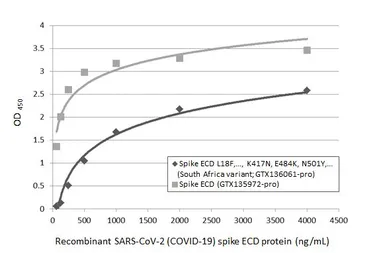 SARS-CoV-2 (COVID-19) Spike (ECD) Protein, B.1.351 / Beta variant, His tag (active). GTX136061-pro