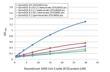 SARS-CoV-2 (COVID-19) Spike (ECD) Protein, B.1.351 / Beta variant, His tag (active). GTX136061-pro