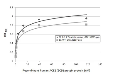 SARS-CoV-2 (COVID-19) Spike S1 Protein, B.1.1.7 / Alpha variant, His tag (active). GTX136085-pro