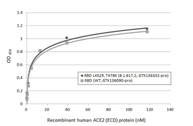 SARS-CoV-2 (COVID-19) Spike RBD protein, His tag (active). GTX136090-pro