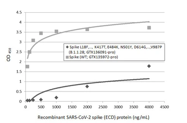 SARS-CoV-2 (COVID-19) Spike (ECD) Protein, P.1 / Gamma variant, His tag (active). GTX136091-pro