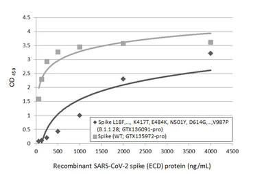 SARS-CoV-2 (COVID-19) Spike (ECD) Protein, P.1 / Gamma variant, His tag (active). GTX136091-pro