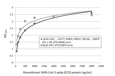 SARS-CoV-2 (COVID-19) Spike (ECD) Protein, P.1 / Gamma variant, His tag (active). GTX136091-pro