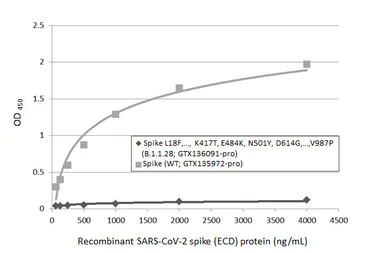 SARS-CoV-2 (COVID-19) Spike (ECD) Protein, P.1 / Gamma variant, His tag (active). GTX136091-pro
