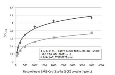 SARS-CoV-2 (COVID-19) Spike (ECD) Protein, P.1 / Gamma variant, His tag (active). GTX136091-pro