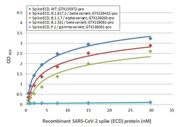 SARS-CoV-2 (COVID-19) Spike (ECD) Protein, P.1 / Gamma variant, His tag (active). GTX136091-pro
