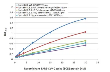 SARS-CoV-2 (COVID-19) Spike (ECD) Protein, P.1 / Gamma variant, His tag (active). GTX136091-pro