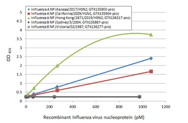 Influenza A virus Nucleoprotein (A/Hong Kong/2671/2019 (H3N2)), DDDDK Tag. GTX136317-pro
