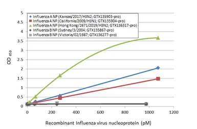 Influenza A virus Nucleoprotein (A/Hong Kong/2671/2019 (H3N2)), DDDDK Tag. GTX136317-pro
