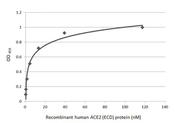 SARS-CoV-2 (COVID-19) Spike RBD Protein, AY.1 / Delta plus variant, His tag (active). GTX136333-pro