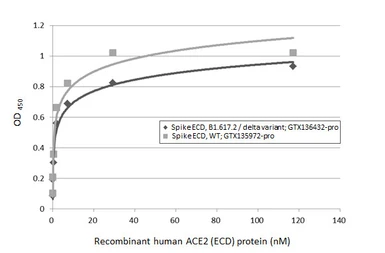 SARS-CoV-2 (COVID-19) Spike (ECD) Protein, B.1.617.2 / delta variant, His tag (active). GTX136432-pro