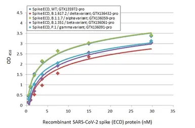 SARS-CoV-2 (COVID-19) Spike (ECD) Protein, B.1.617.2 / delta variant, His tag (active). GTX136432-pro