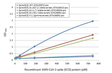 SARS-CoV-2 (COVID-19) Spike (ECD) Protein, B.1.617.2 / delta variant, His tag (active). GTX136432-pro
