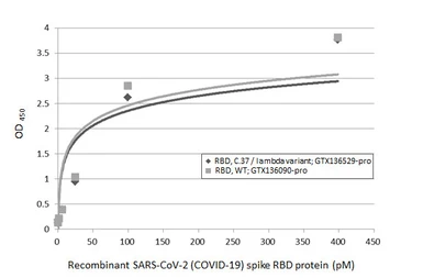SARS-CoV-2 (COVID-19) Spike RBD Protein, C.37 / Lambda variant, His tag (active). GTX136529-pro