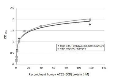 SARS-CoV-2 (COVID-19) Spike RBD Protein, C.37 / Lambda variant, His tag (active). GTX136529-pro