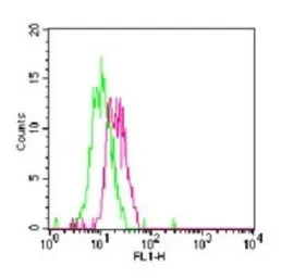 Anti-TLR7 antibody used in Flow cytometry (FCM). GTX13730