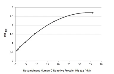 Human C Reactive Protein, His tag. GTX138453-pro